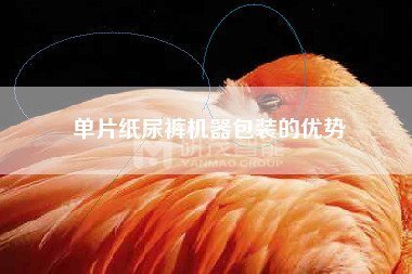 試用裝紙尿褲包裝機(jī),體驗(yàn)裝紙尿褲包裝機(jī)注意事項(xiàng)