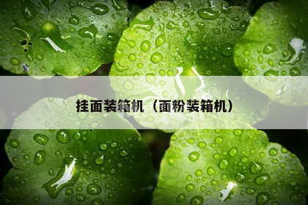 掛面裝箱機(面粉裝箱機) 掛面裝箱機(面粉裝箱機)