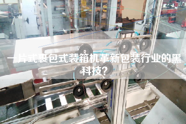 一片式裹包式裝箱機革新包裝行業的黑科技? 一片式裹包式裝箱機革新包裝行業的黑科技?