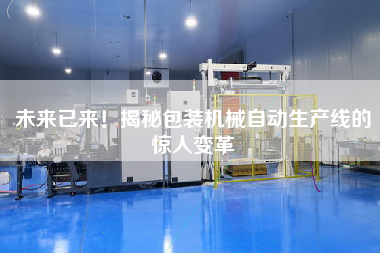 未來已來!揭秘包裝機械自動生產線的驚人變革 未來已來!揭秘包裝機械自動生產線的驚人變革
