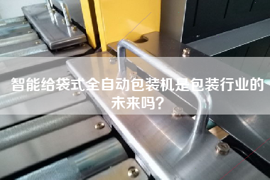智能給袋式全自動包裝機是包裝行業(yè)的未來嗎? 智能給袋式全自動包裝機是包裝行業(yè)的未來嗎?