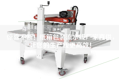 驚喜不斷！紙箱包裝流水線廠家直供，讓您的生產線更高效！