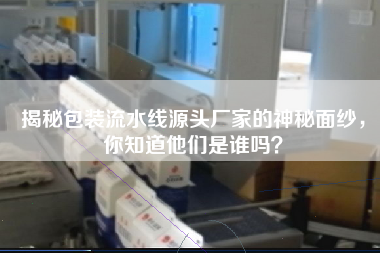 揭秘包裝流水線源頭廠家的神秘面紗，你知道他們是誰嗎