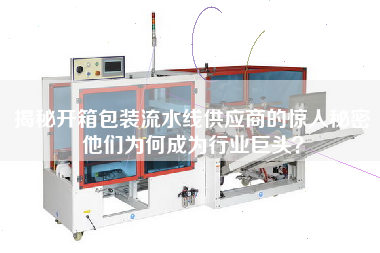 揭秘開箱包裝流水線供應商的驚人秘密他們?yōu)楹纬蔀樾袠I(yè)巨頭？