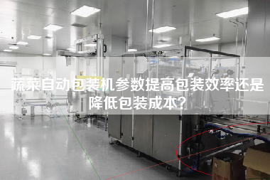 蔬菜自動包裝機參數提高包裝效率還是降低包裝成本？