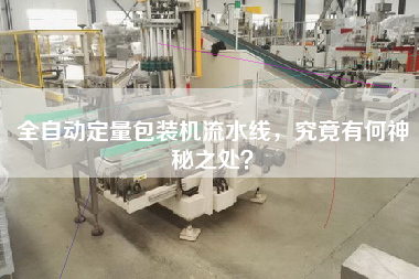 全自動定量包裝機流水線，究竟有何神秘之處