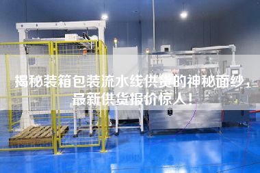 揭秘裝箱包裝流水線供貨的神秘面紗,最新供貨報價驚人! 揭秘裝箱包裝流水線供貨的神秘面紗,最新供貨報價驚人!