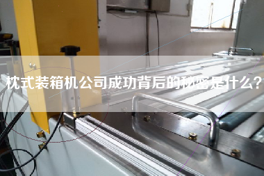 枕式裝箱機公司成功背后的秘密是什么