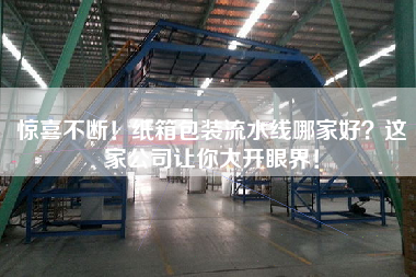 驚喜不斷!紙箱包裝流水線哪家好?這家公司讓你大開眼界! 驚喜不斷!紙箱包裝流水線哪家好?這家公司讓你大開眼界!