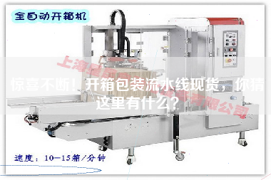 驚喜不斷！開箱包裝流水線現貨，你猜這里有什么