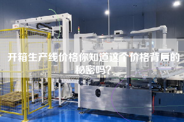 開箱生產線價格你知道這個價格背后的秘密嗎？
