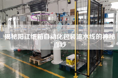 揭秘陽江紙箱自動化包裝流水線的神秘面紗