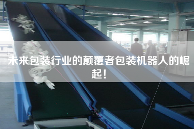 未來包裝行業(yè)的顛覆者包裝機器人的崛起！