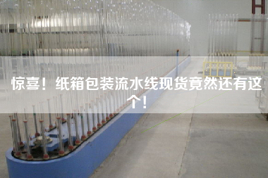 驚喜！紙箱包裝流水線現貨竟然還有這個！