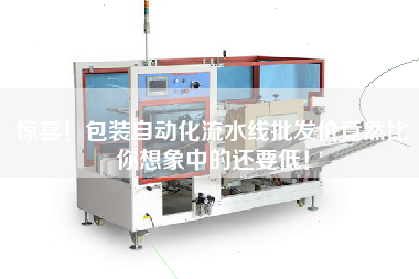 驚喜！包裝自動化流水線批發價竟然比你想象中的還要低！