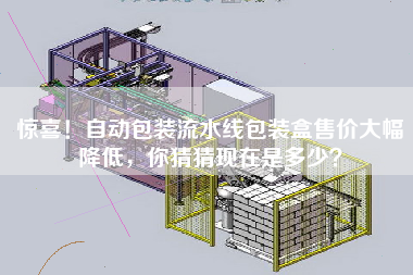 驚喜！自動包裝流水線包裝盒售價大幅降低，你猜猜現在是多少
