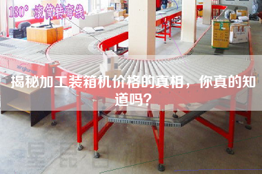 揭秘加工裝箱機價格的真相，你真的知道嗎？