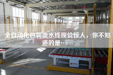 全自動化包裝流水線現價驚人，你不知道的是……