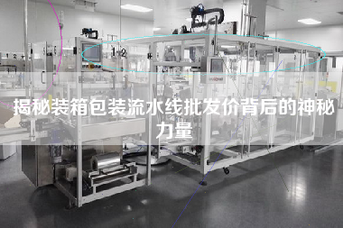 揭秘裝箱包裝流水線批發價背后的神秘力量