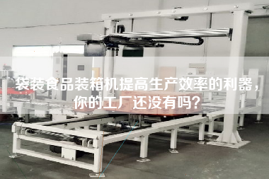 袋裝食品裝箱機提高生產效率的利器，你的工廠還沒有嗎？