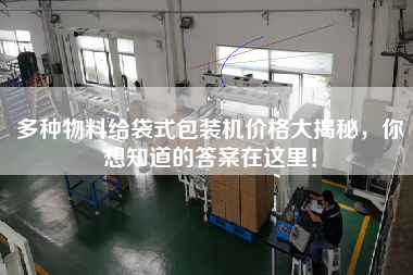 多種物料給袋式包裝機(jī)價格大揭秘，你想知道的答案在這里！