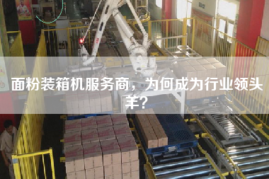面粉裝箱機(jī)服務(wù)商,為何成為行業(yè)領(lǐng)頭羊
