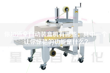 你知道全自動裝盒機有哪些,其中一個讓你驚艷的功能是什么
