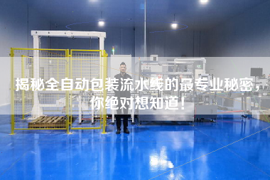 揭秘全自動包裝流水線的最專業秘密,你絕對想知道!