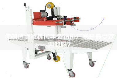 你知道哪家機械手裝箱機廠家是最受歡迎的嗎？