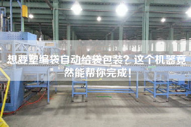 想要塑編袋自動給袋包裝?這個機器竟然能幫你完成! 想要塑編袋自動給袋包裝?這個機器竟然能幫你完成!