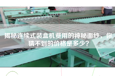 揭秘連續式裝盒機費用的神秘面紗,你猜不到的價格是多少