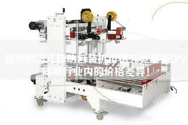 直接給袋式自動包裝機(jī)價(jià)格究竟是多少？揭秘行業(yè)內(nèi)的價(jià)格差異！