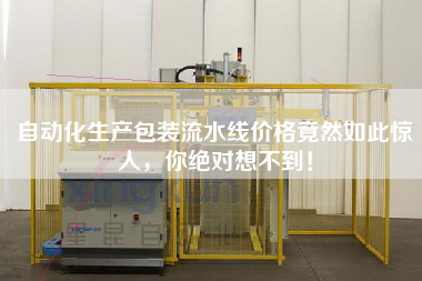 自動化生產包裝流水線價格竟然如此驚人，你絕對想不到！
