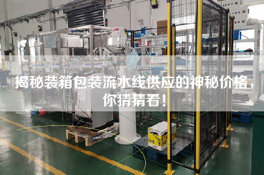 揭秘裝箱包裝流水線供應的神秘價格，你猜猜看！