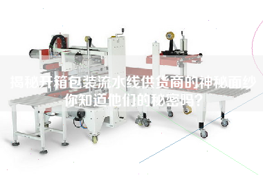 揭秘開箱包裝流水線供貨商的神秘面紗你知道他們的秘密嗎？