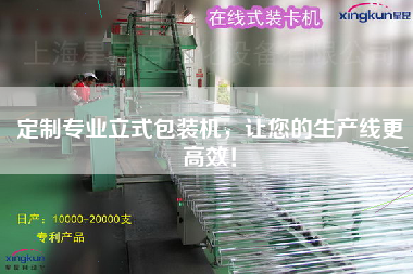 定制專業(yè)立式包裝機(jī)，讓您的生產(chǎn)線更高效！
