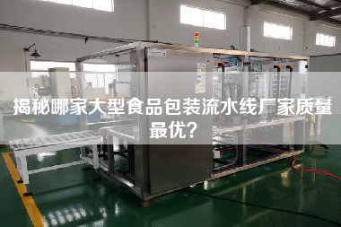 揭秘哪家大型食品包裝流水線廠家質量最優？