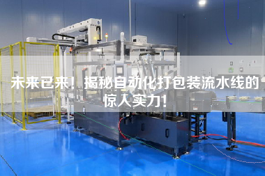未來(lái)已來(lái)！揭秘自動(dòng)化打包裝流水線的驚人實(shí)力！