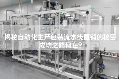 揭秘自動化生產包裝流水線直銷的秘密成功之路何在？