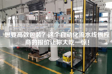 想要高效包裝？這個自動化流水線供應商的報價讓你大吃一驚！