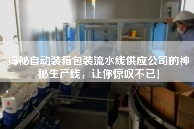 揭秘自動裝箱包裝流水線供應公司的神秘生產線，讓你驚嘆不已！