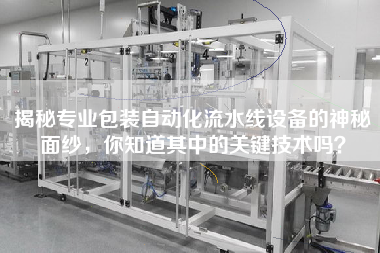 揭秘專業包裝自動化流水線設備的神秘面紗,你知道其中的關鍵技術嗎