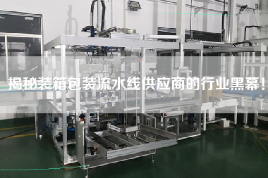 揭秘裝箱包裝流水線供應商的行業黑幕！