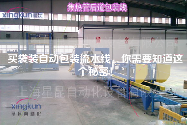 買(mǎi)袋裝自動(dòng)包裝流水線，你需要知道這個(gè)秘密！