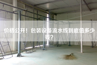 價格公開！包裝設備流水線到底值多少錢？