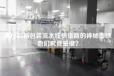 揭秘封箱包裝流水線供貨商的神秘面紗他們究竟是誰？