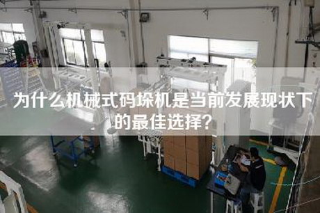 為什么機械式碼垛機是當前發展現狀下的最佳選擇？
