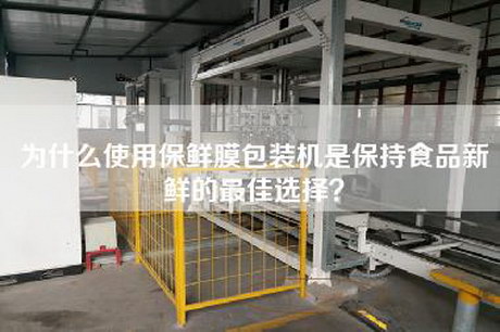 為什么使用保鮮膜包裝機是保持食品新鮮的最佳選擇？