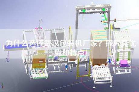 為什么選擇武漢包裝機廠家？探究其優勢和特點！