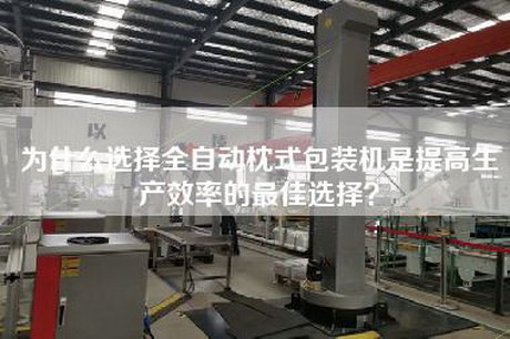 為什么選擇全自動枕式包裝機是提高生產效率的最佳選擇？